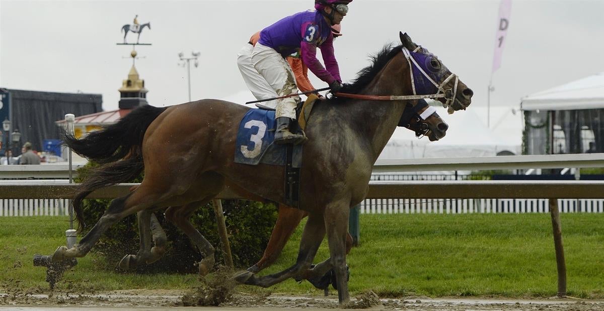 Two horses die early in Preakness Stakes races