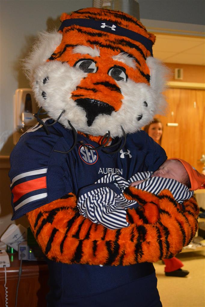 aubie plush