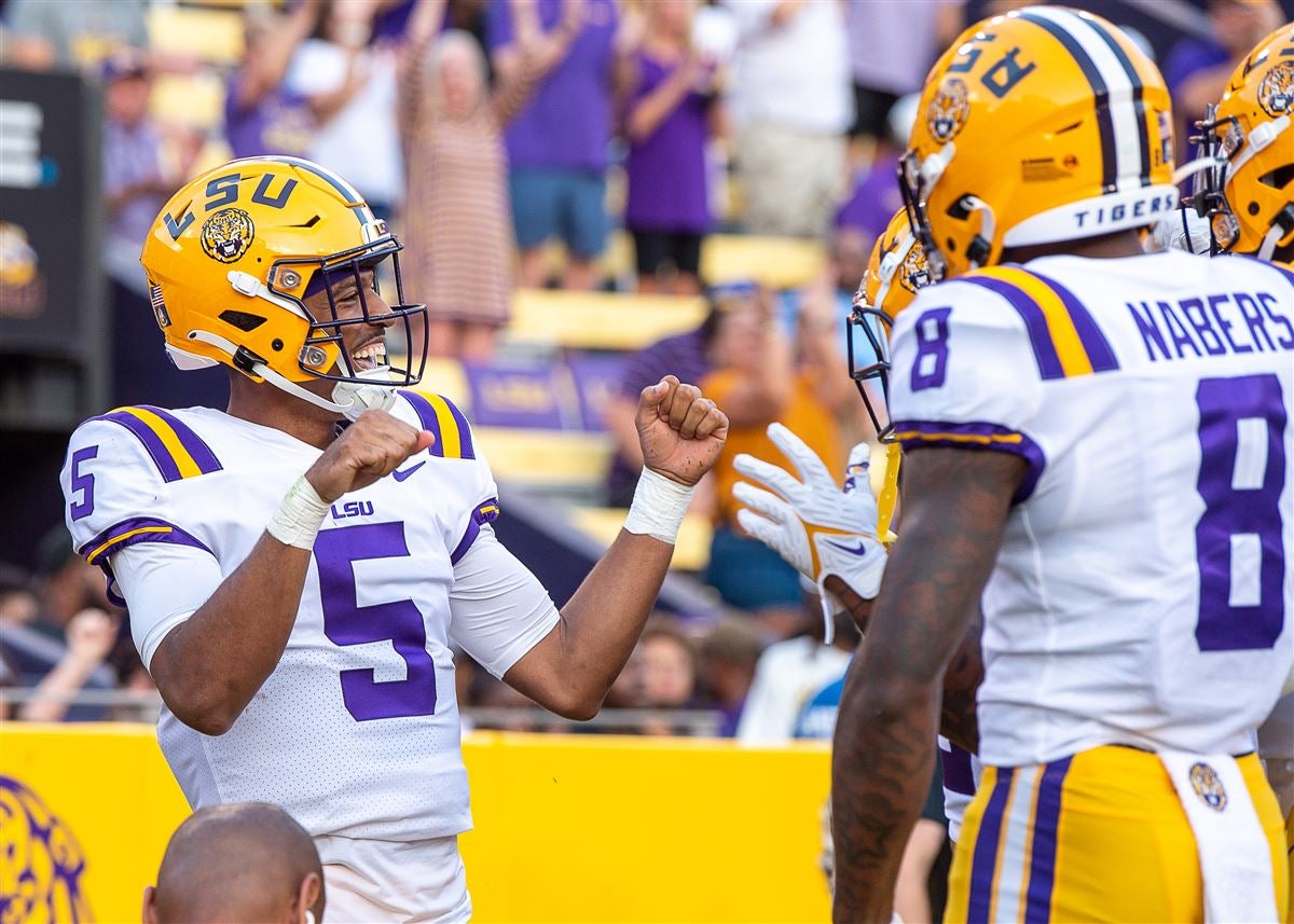 lsu football gloves eye tiger