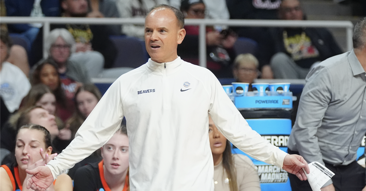 Arizona Women's Basketball Head Coach Hot Board 1.0