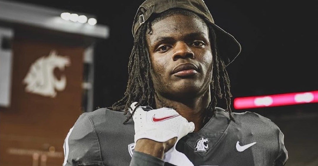 David Johnson: Washington State redshirt review