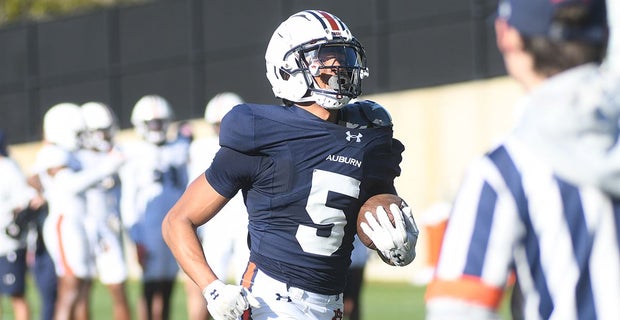 IN PHOTOS: A look at some of Auburn's newcomers in spring practice
