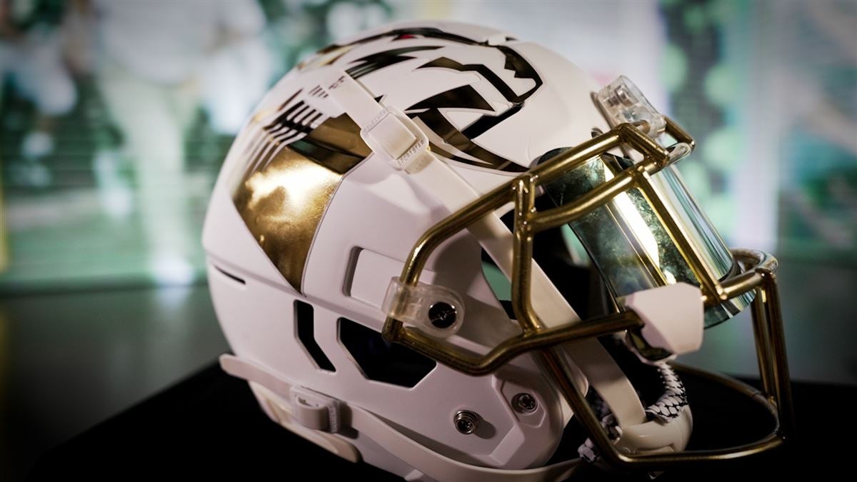 usf bulls helmet