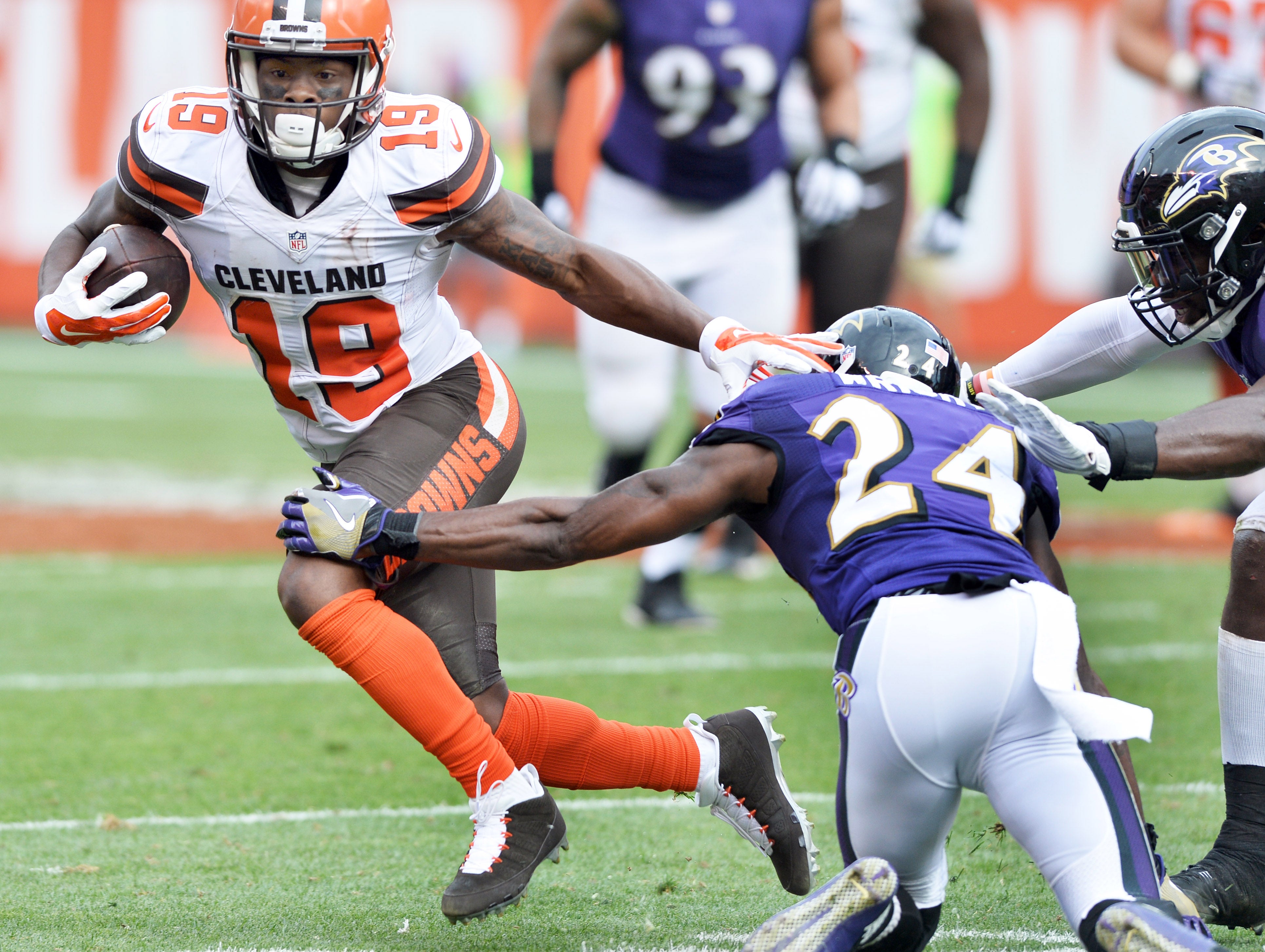 Skunk invades Browns stadium