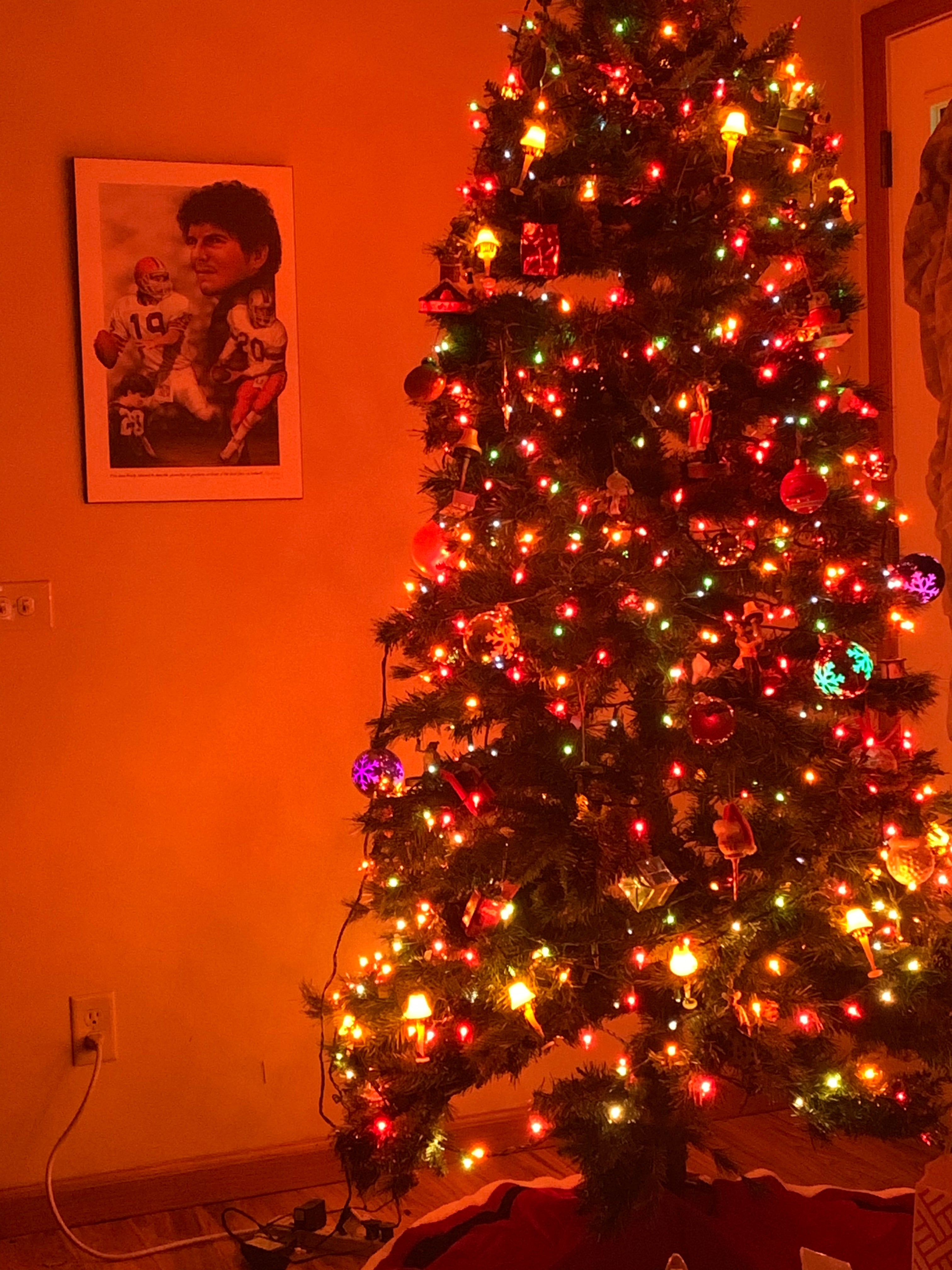 OT Let's see your Christmas tree(s)