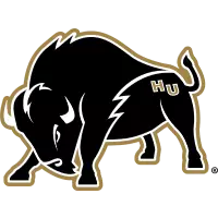 Bisons