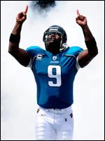 Ex-Jaguars QB David Garrard returns to New York Jets