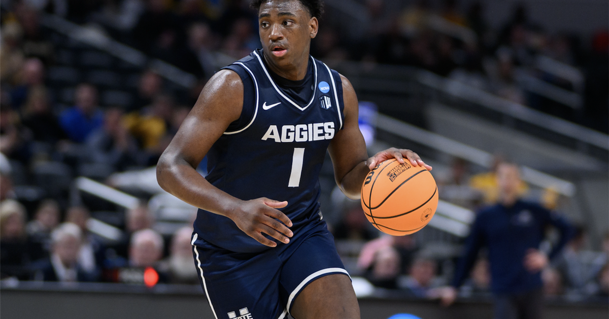 Big Ten basketball transfer portal rankings Revealing the league's 10