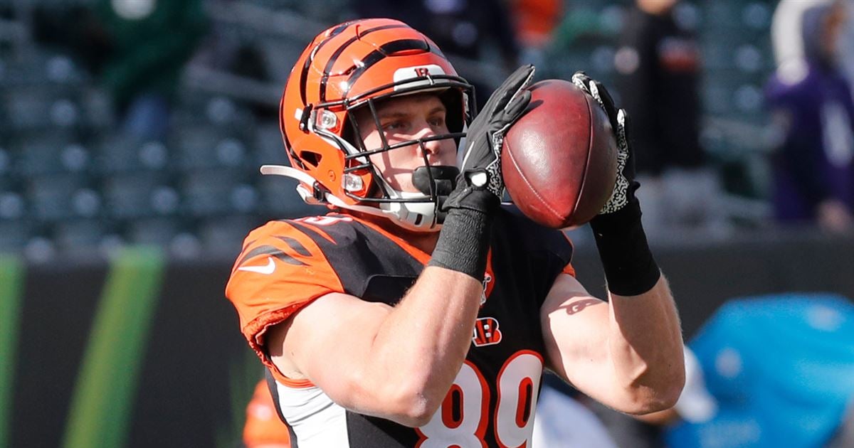 Drew Sample is having a very good camp for the Bengals