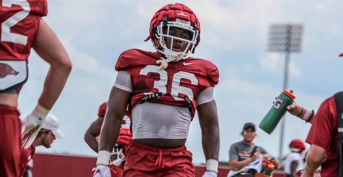 Razorbacks ready to roll with reduced roster - Vimarsana News