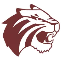 Tigers