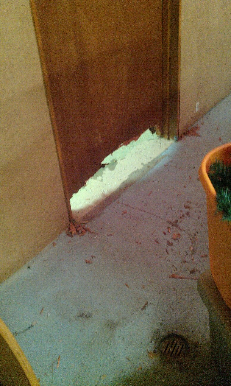 My dog chewed through the bottom of a door.