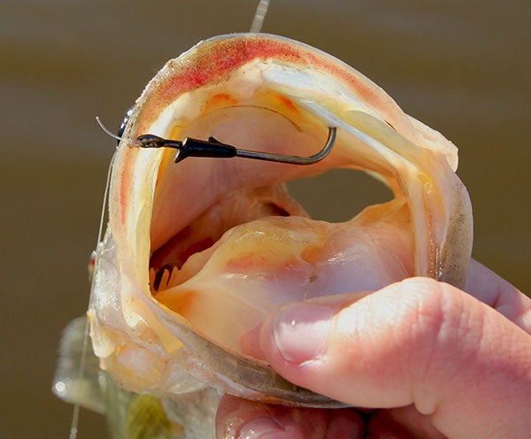 VMC Heavy Duty Flippin Hook Review - Wired2Fish