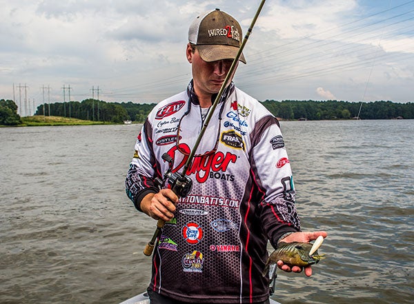5 Tips for Bass Fishing Summer Mayfly Hatches - Wired2Fish