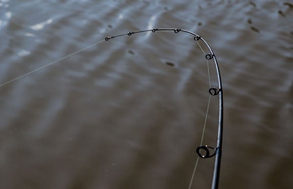Dobyns Savvy Spinning Rod Review - Wired2Fish
