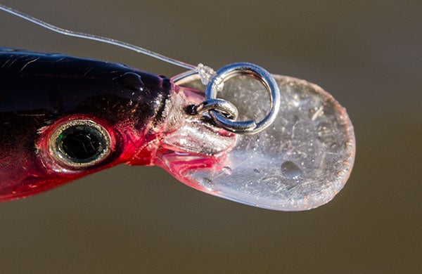 Rapala X-Rap Fishing Tackle Review - Wired2Fish