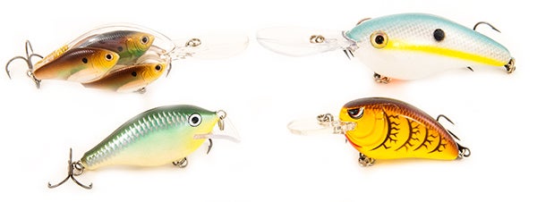 Bass Fishing Crankbaits: The Beginner's Guide