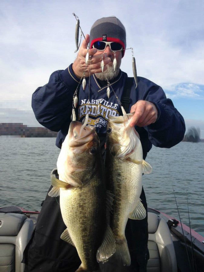 chickamauga guide catches 49-pound limit of bass