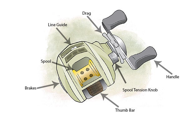 A Beginner's Guide to Bass Fishing Reels