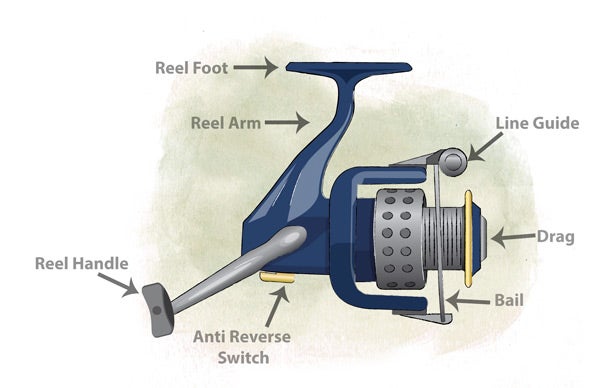 A Beginner's Guide to Bass Fishing Reels