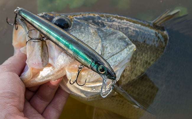 The Top 3 All-Time Night Fishing Baits for Big Bass - Wired2Fish
