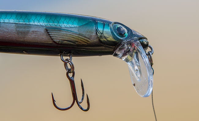 BERKLEY HAVOC Money Maker 4.5" 15ct Drop Shot Soft Worm Bait Fishing Lure PICK 