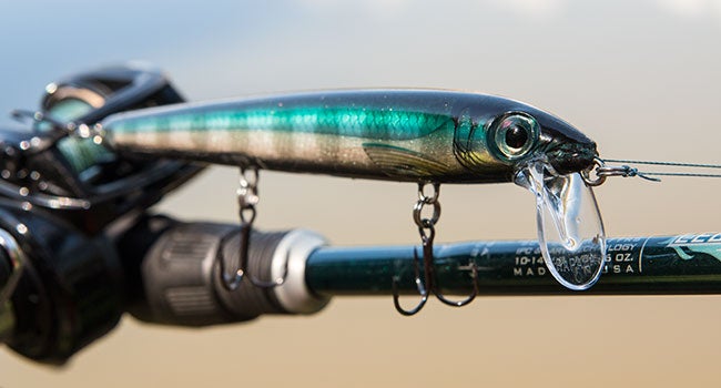 Rapala BX Balsa Waking Minnow Review