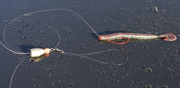 Four Ways to Fish a Zoom Ultravibe Speed Worm